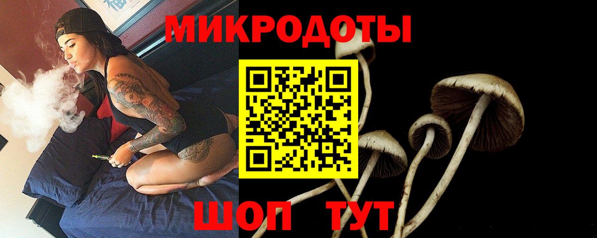 Лосино-Петровский  Галлюциногенные грибы ЛСД  Вход с VPN 
